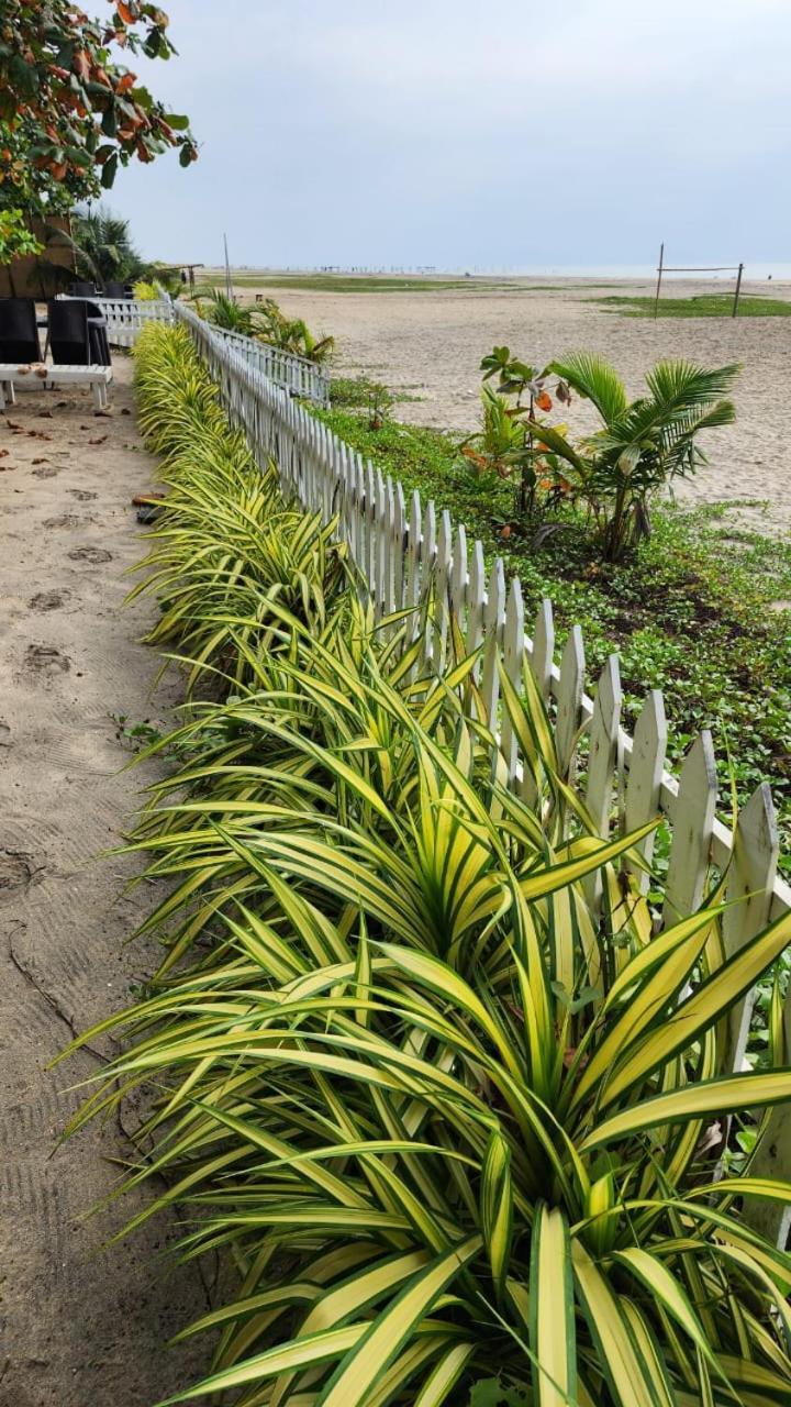 Palm Beach Resort, Alleppey Alappuzha المظهر الخارجي الصورة